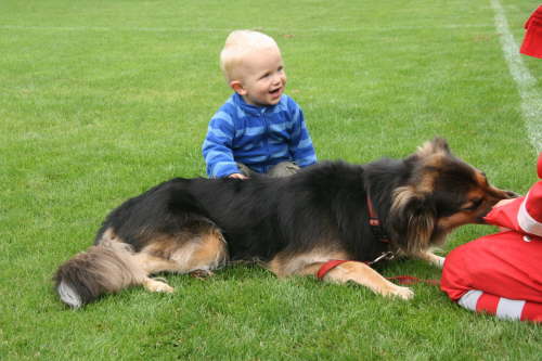 Weinfest 2013-Homepage-137